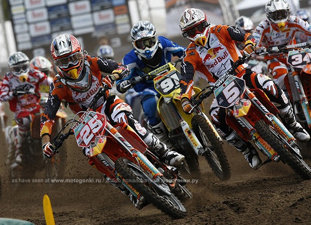 Марвин
 Макскин (25) лидирует в Гран-При Голландии